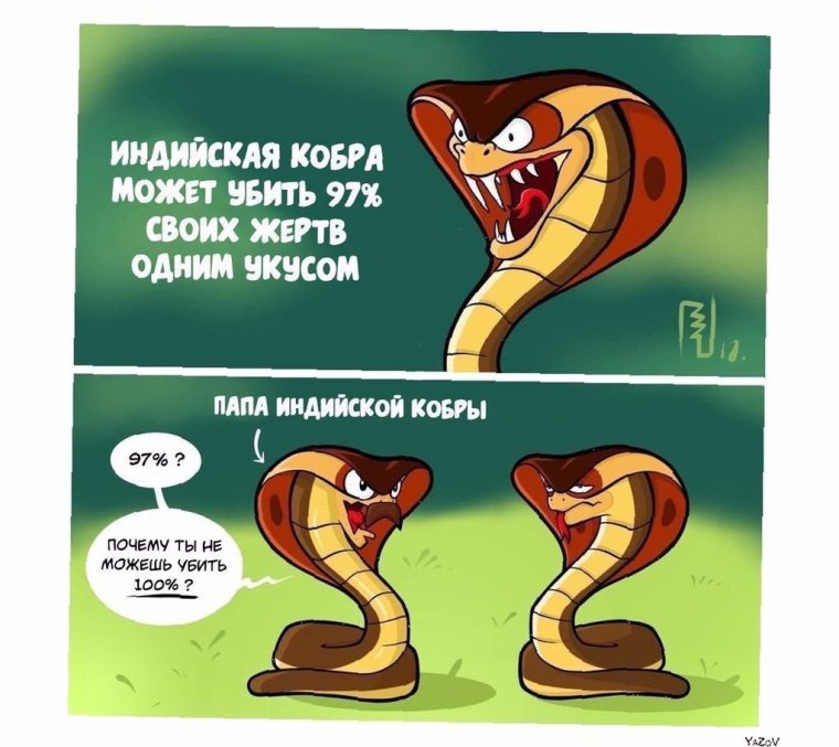 Туфли копыта