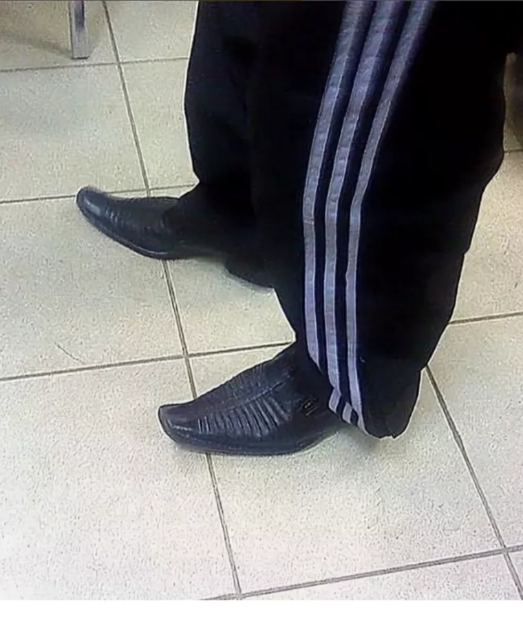 Шутки про змей