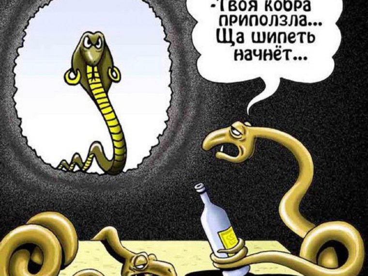 Ботинки с длинным носом