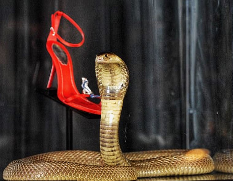 Уродливые ботинки