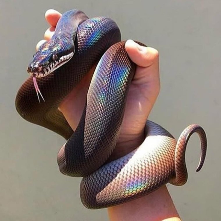 Смешные туфли на каблуках