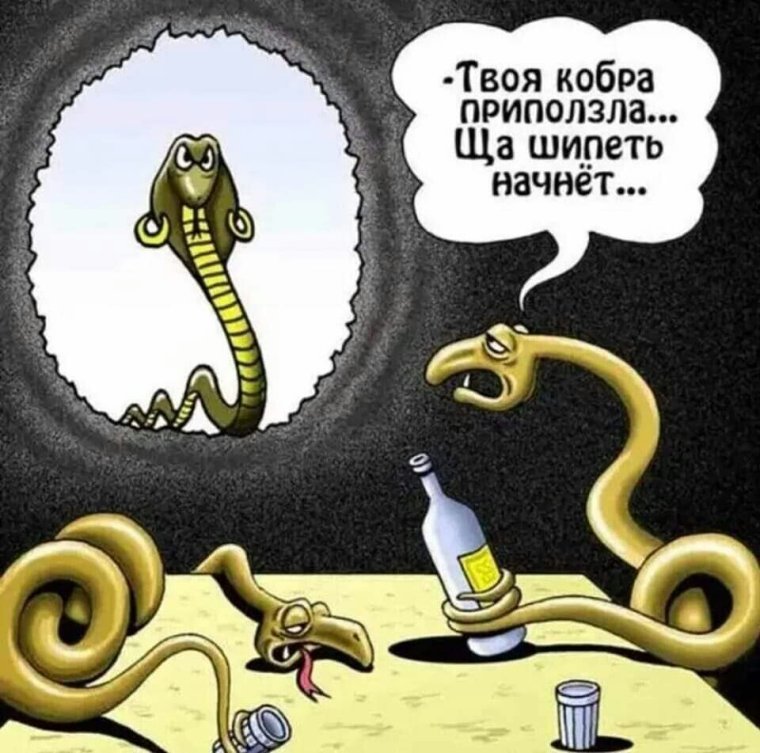 Туфли крокодилы