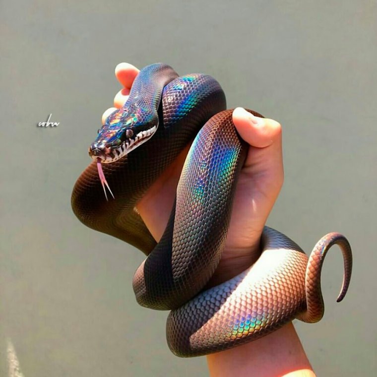 Прикольные кеды