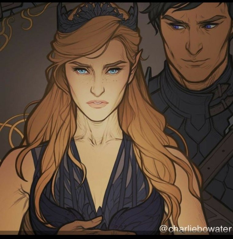 Сара Маас королевство шипов и роз