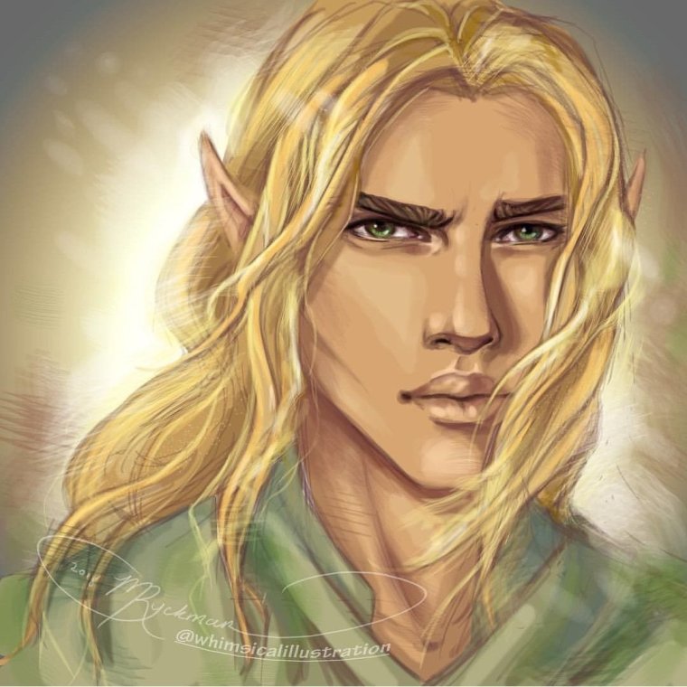 Мор Сара Маас