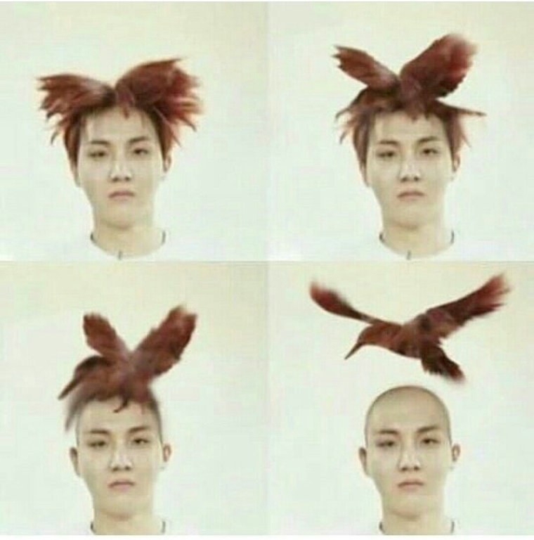 Лысый Хосок из БТС