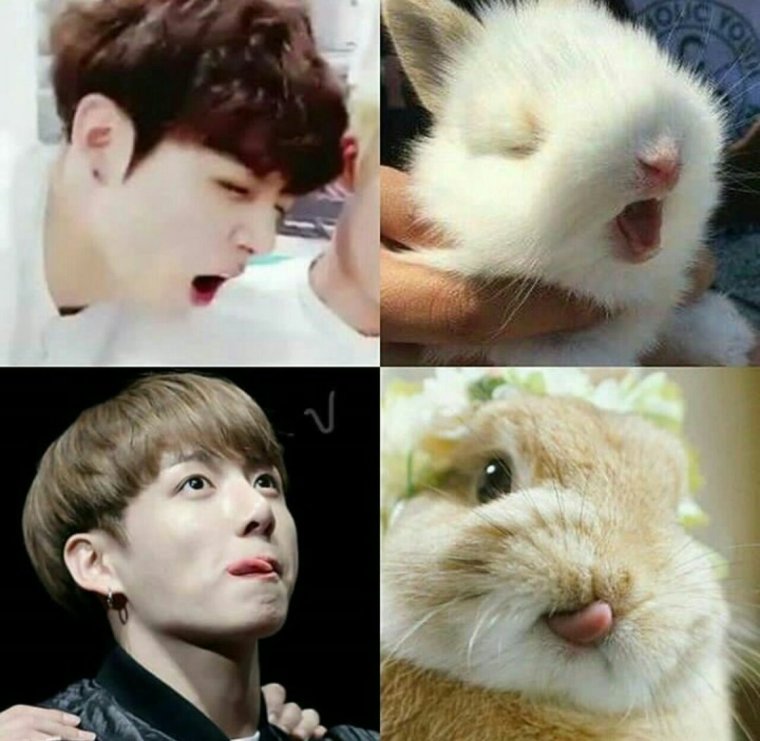 Смешные фанфики про BTS