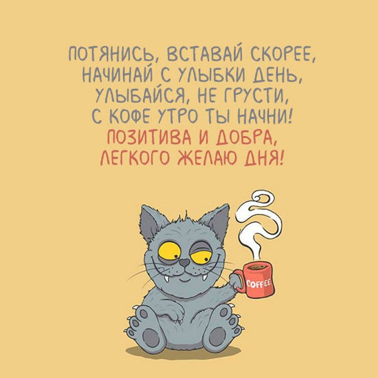 Поздравление с добрым утром с котятами