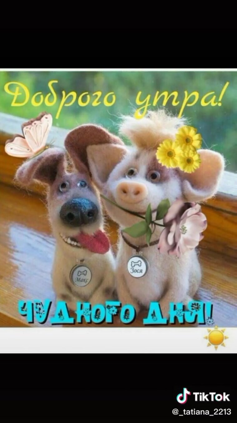 Доброе утро шуточные