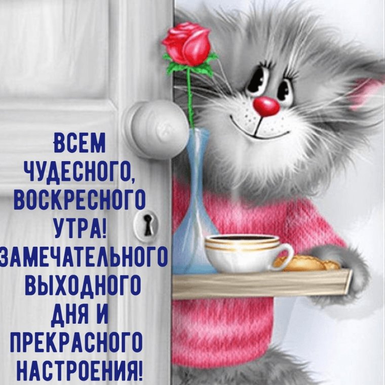 Доброе утро юмор