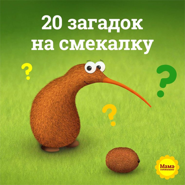 Картинки с подвохом