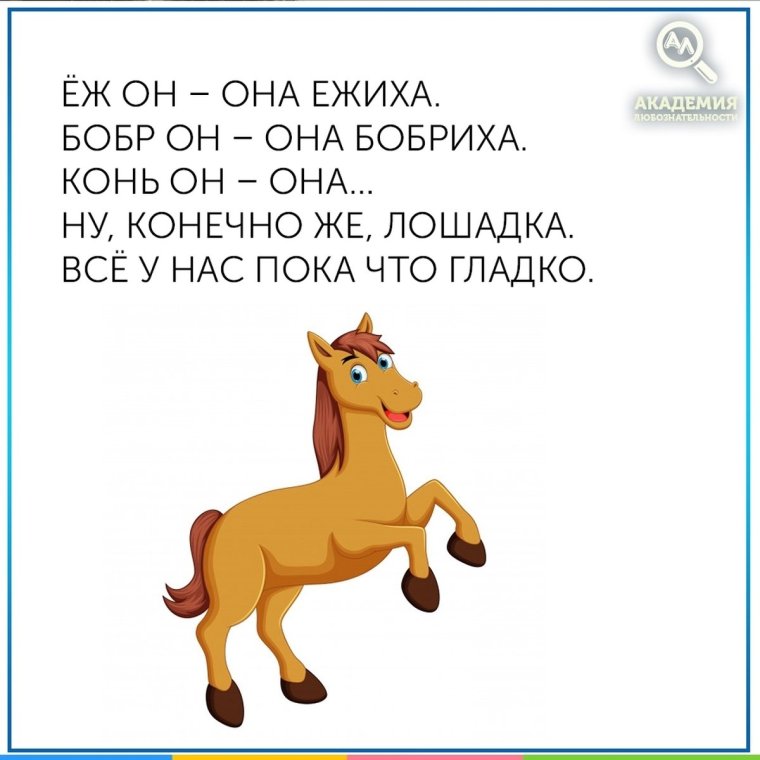 Загадка про телефон сложная