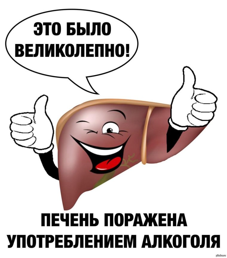 Веселая печень