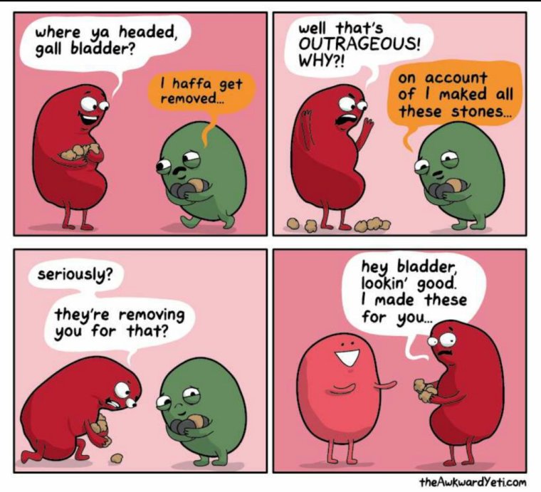 Комикс про желчный пузырь