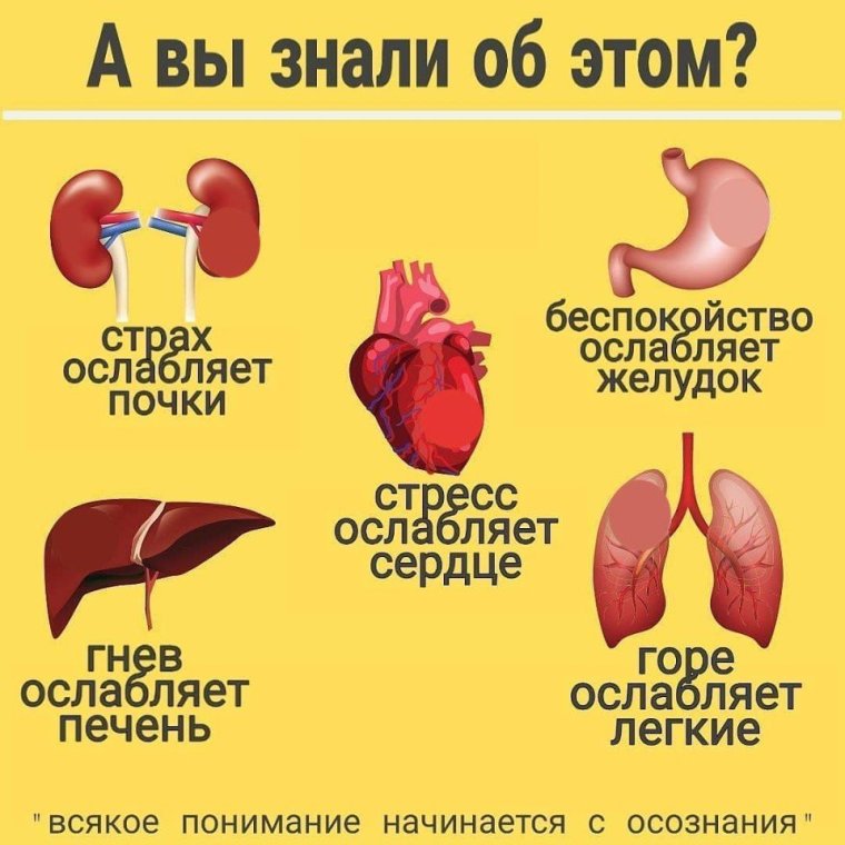 Мем с Винни пухом в смокинге