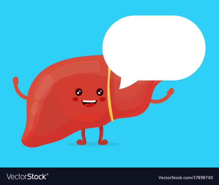 Мультяшная печень