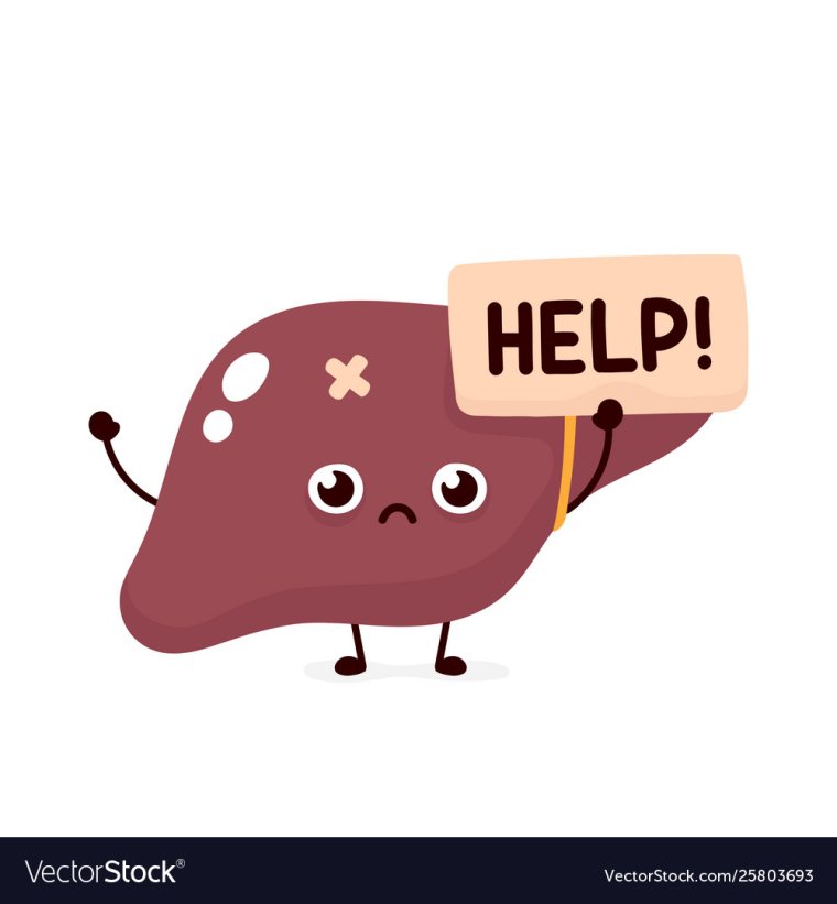 Мультяшная печень