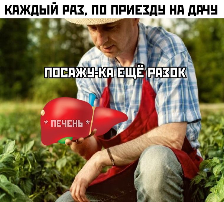 Сажать печень картинки