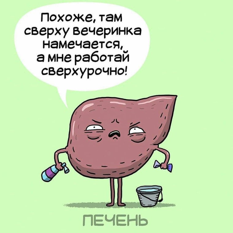 Шутки про печень