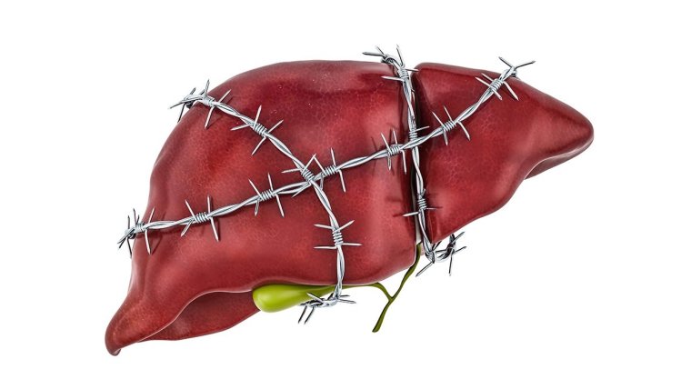 Довольная печень