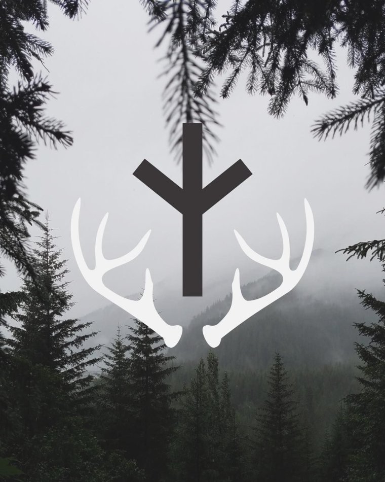 Скандинавская руна Альгиз