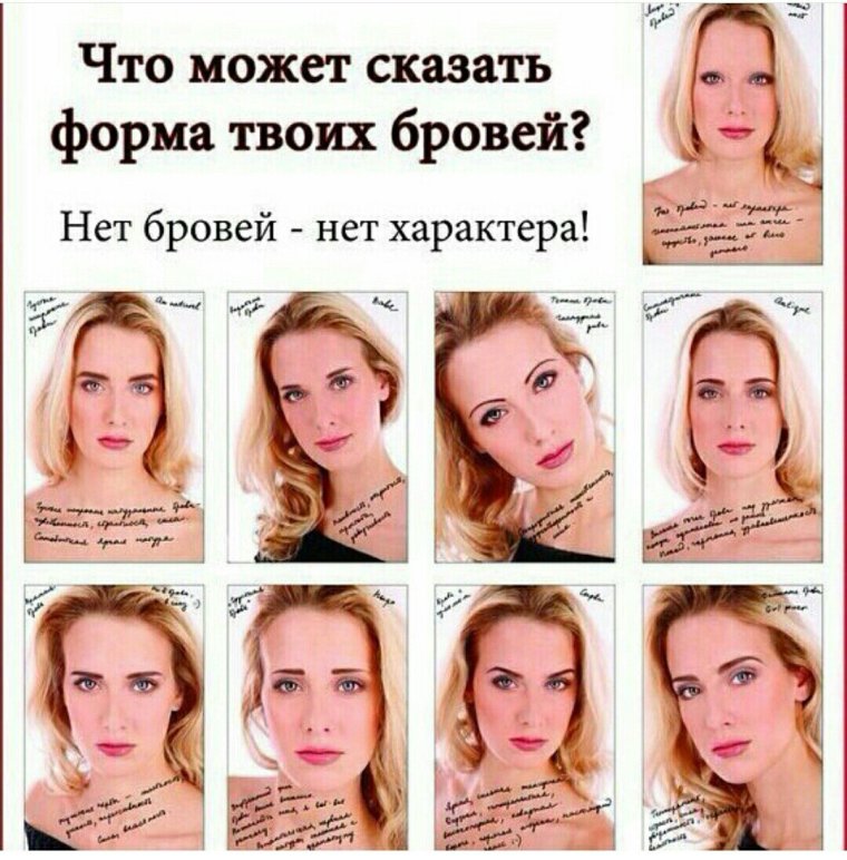 Высказывания про брови