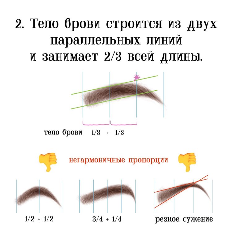 Фея бровей картинки