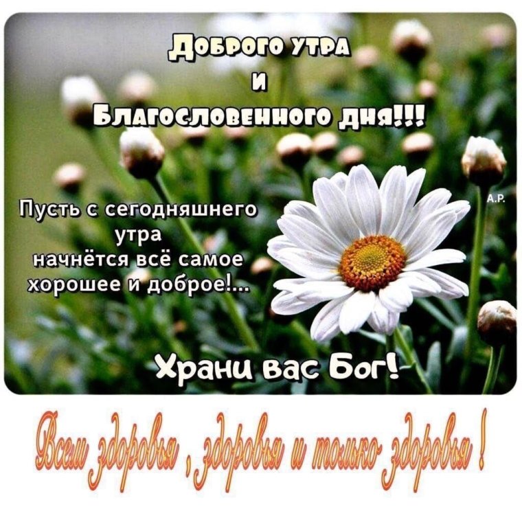 Пусть вдуше живнт МТР И гаомогич