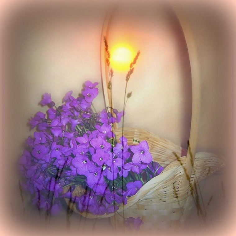 Три самых замечательных места