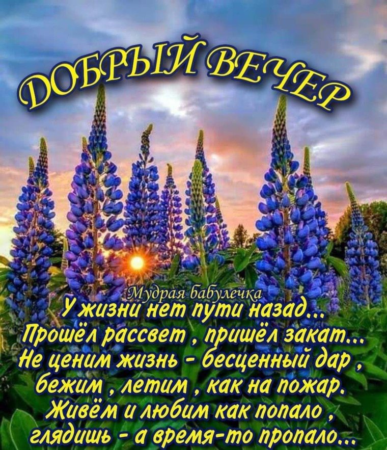 Благословенного вечера
