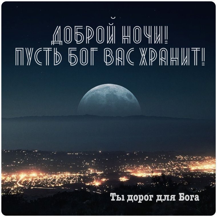 Красивая природа с лебедями