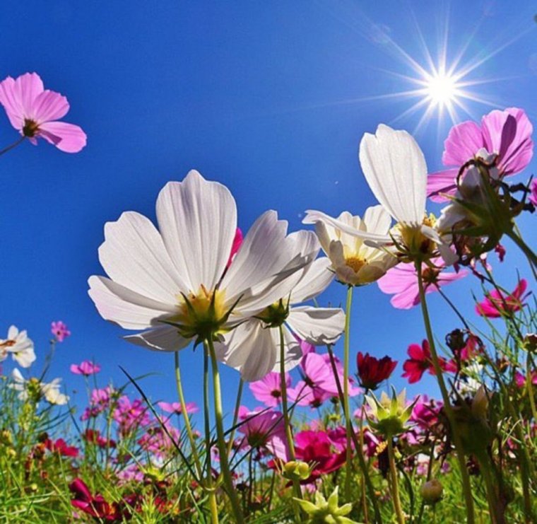 Пожелания доброго утра и Божьего благословения