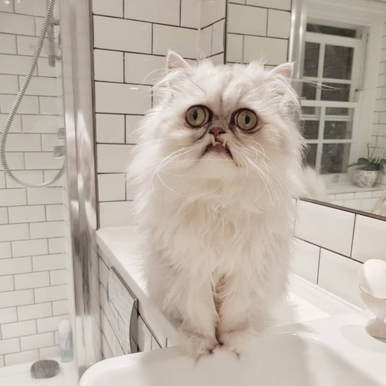 Выпученные глаза из фильма