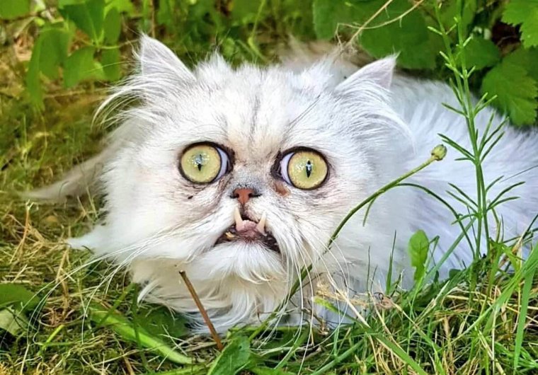 Маска 1994 Джим Керри