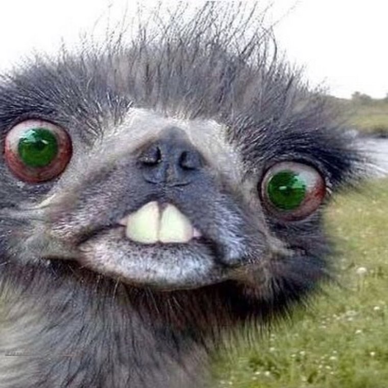 Человек с выпучими глазами