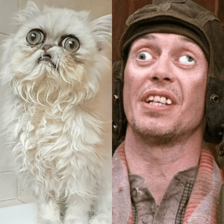 Смешная змея