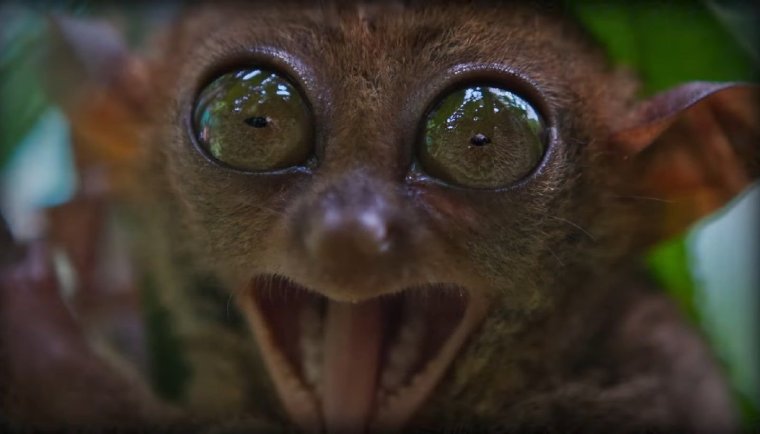 Смешные лица в реальной жизни