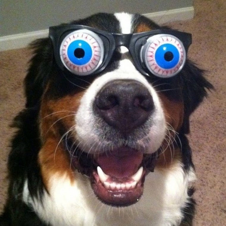 Удивленное лицо