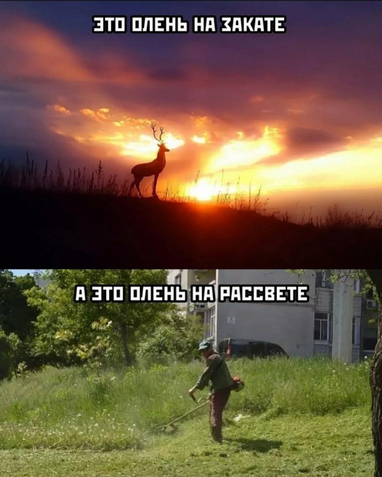 Рассвет прикол