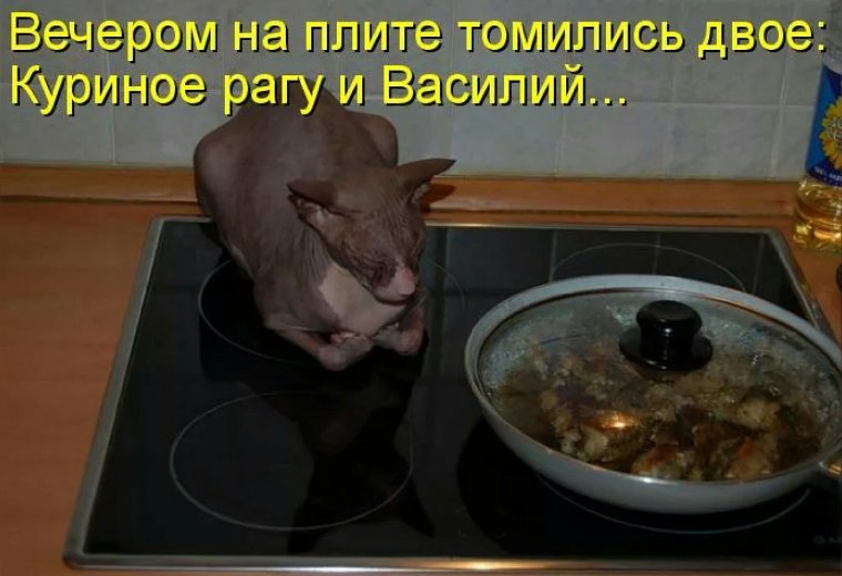 Шутки про вечер