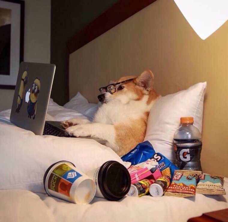 Планы на выходные