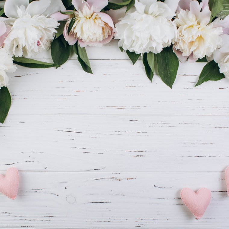 Фотофон с цветами