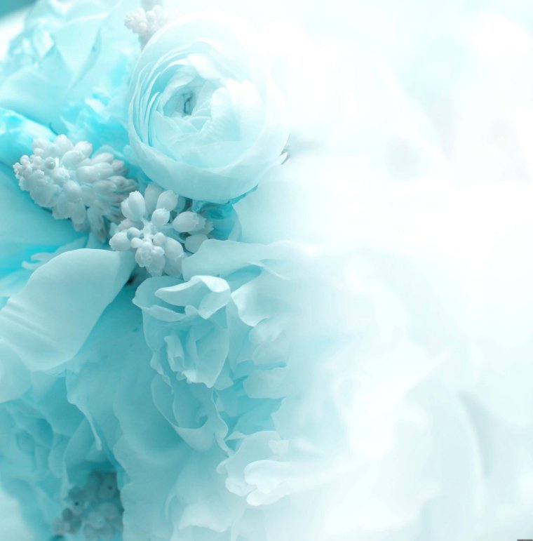 Фон для пригласительных на свадьбу пионы