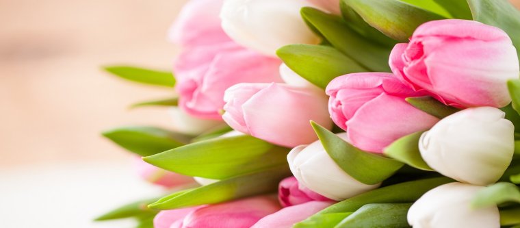 Шочмо кечет дене