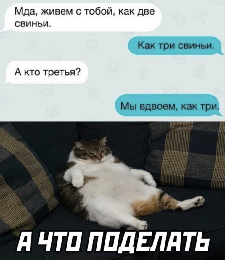 Приколы про любу
