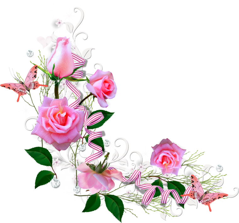 Цветы угловые красивые