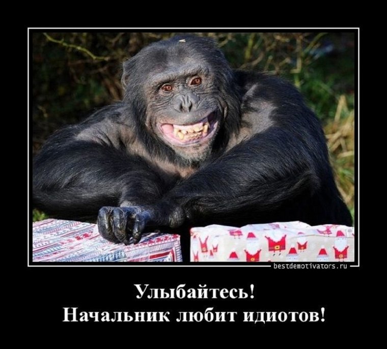 Шутки про начальника