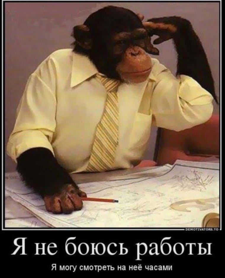 Демотиваторы про работу