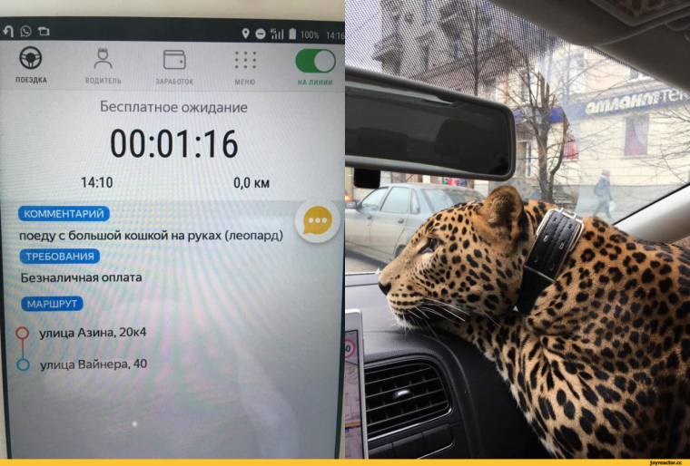 Оператор такси прикол