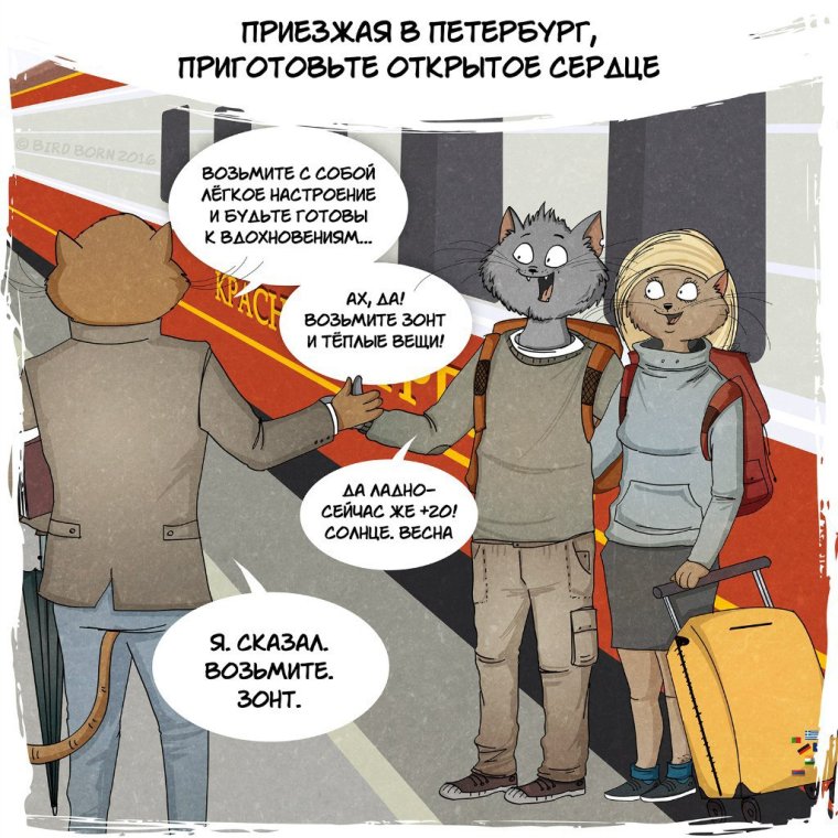 Смешные высказывания про Питер